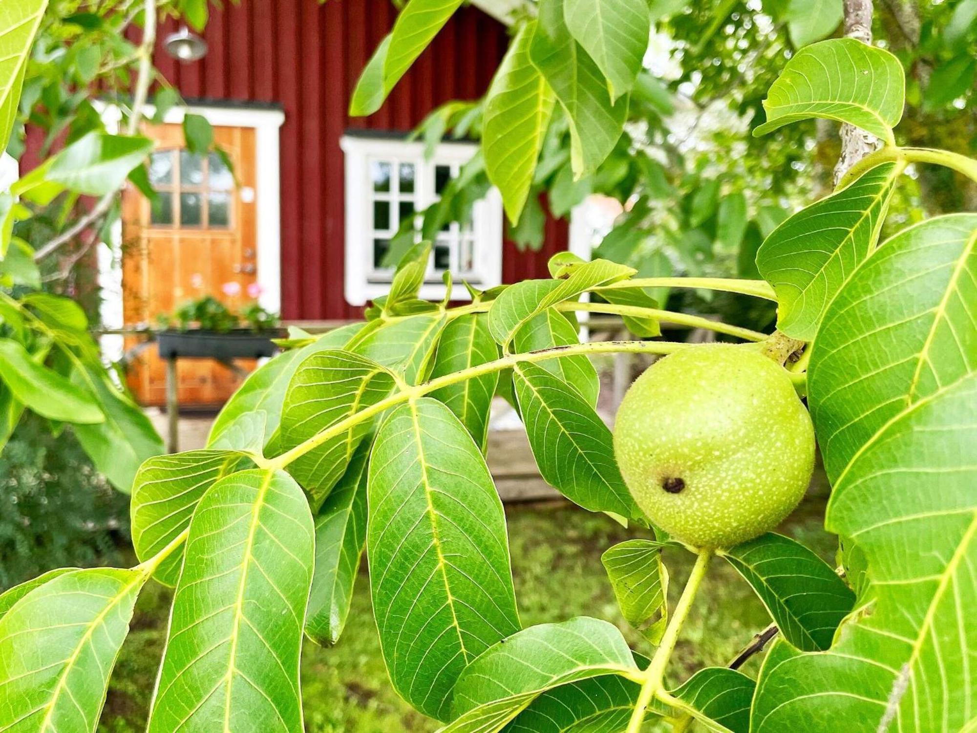 Holiday Home Malaretorpsvaegen Борґгольм Екстер'єр фото